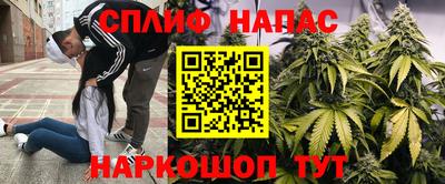 прущие грибы Гусиноозёрск