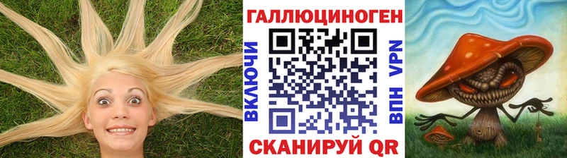 МЕГА маркетплейс  Саянск  Галлюциногенные грибы Psilocybe 