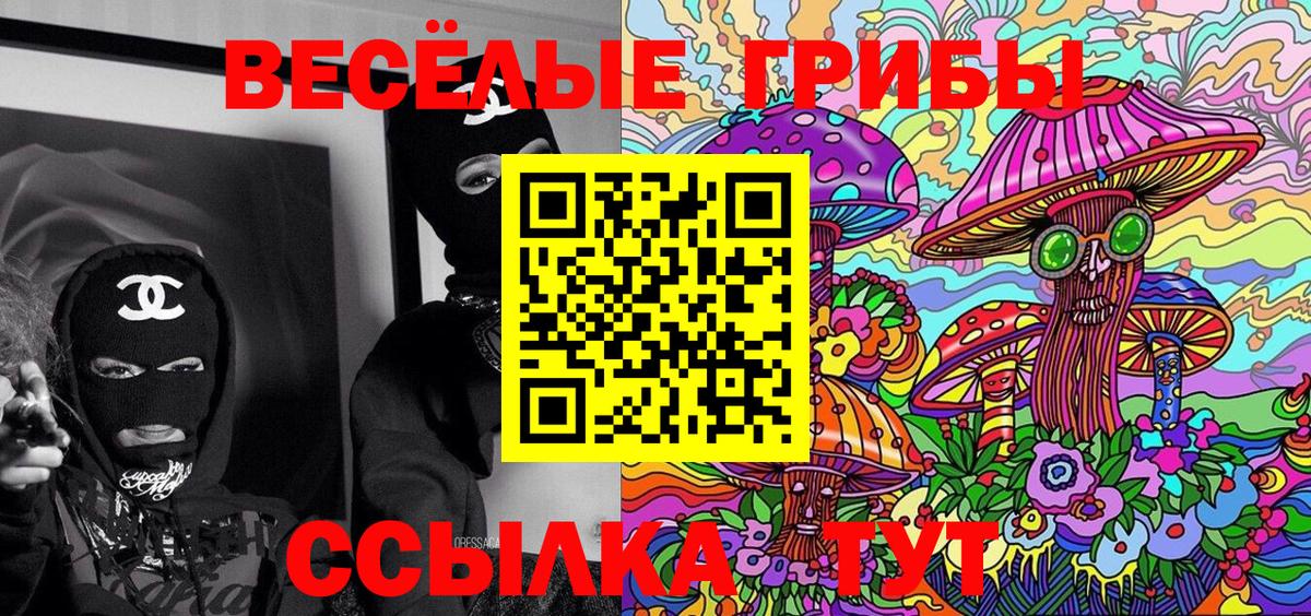 Галлюциногенные грибы Psilocybine cubensis  Вход с VPN  Галлюциногенные грибы мухоморы  Саянск 