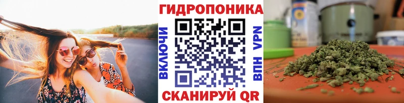 Каннабис Amnesia  купить наркотики сайты  Саянск 