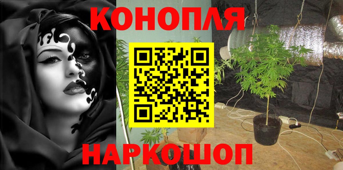 Каннабис планчик  Бошки Шишки White Widow  Каннабис Bruce Banner  Вход с VPN  Саянск 